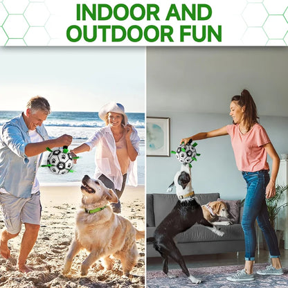 Interactive Dog Soccer Toy