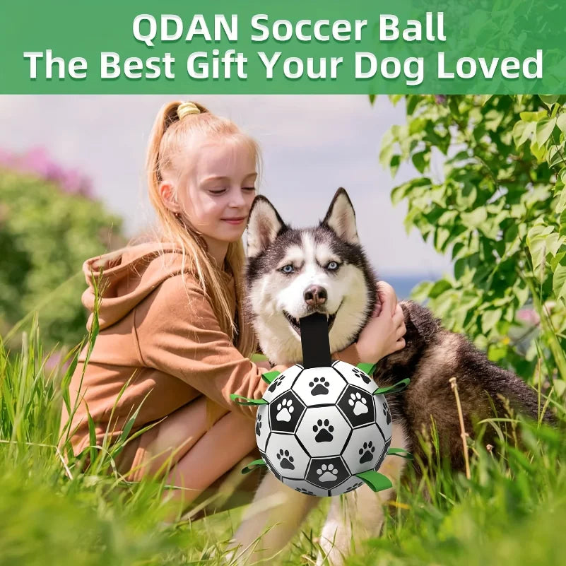Interactive Dog Soccer Toy
